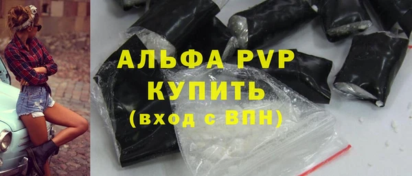 прущие грибы Сатка