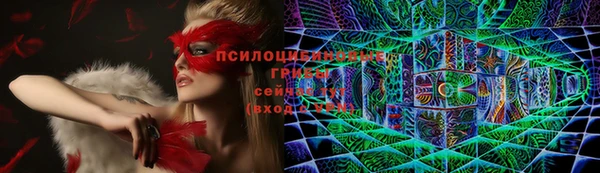 прущие грибы Сатка